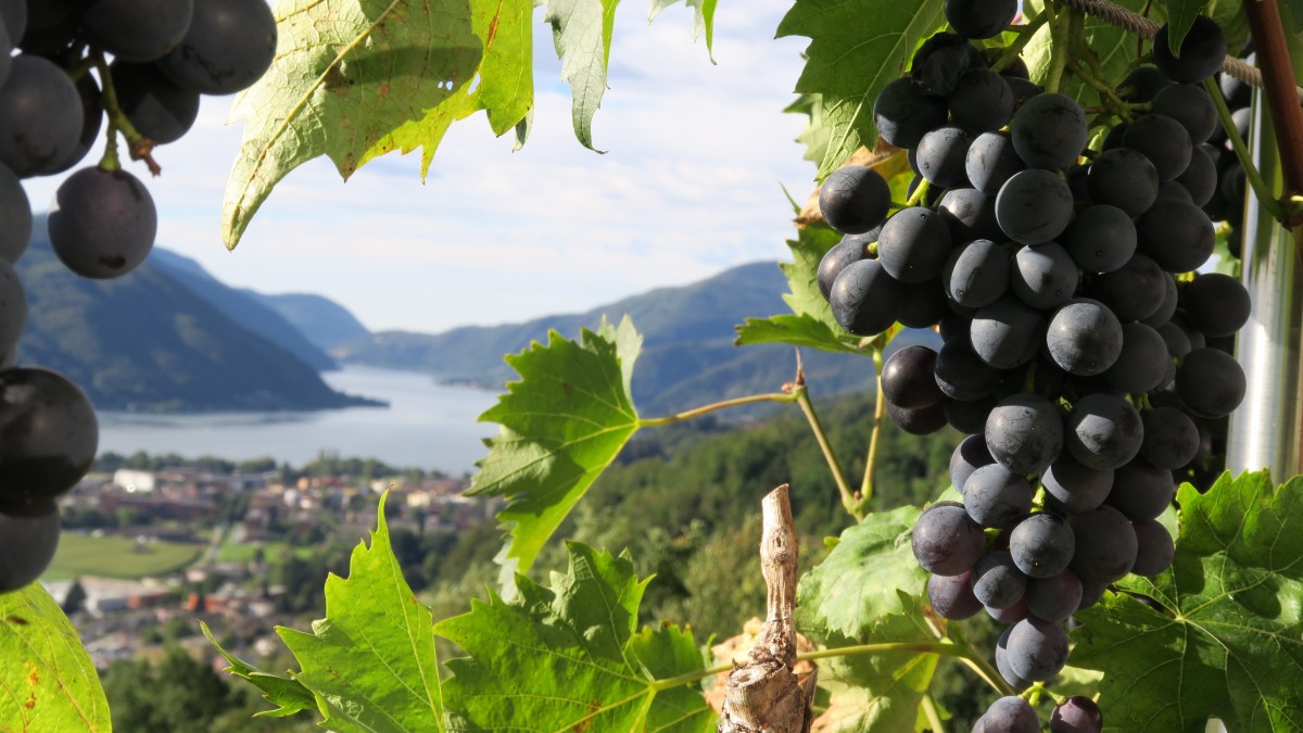 Turismo: ¿cuál es el mejor momento para visitar Italia?