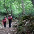 Camino de Santiago Agosto 2015 etapa Subida a Ocebreiro 20150815_1214081_7db5269b22446388719b68a963f25313.jpg
