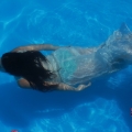 Mi hija mayor jugando a Lady Ofelia en la piscina del campo. 843907_ca4e2768861641e0812e3ad4901e27e3_7cbe7bcfd9427a6a0aa4ee5e735f1324.jpg