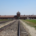 Auschwitz- Birkenau dsc00626_651b5c152fb726997ae4439c173fa191.jpg