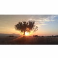 Atardecer veraniego image_852b28098363925221c833810742c8fe.jpg