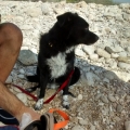 Oso en la playa img_20150628_102956607_hdr_489ca36081439a28494da069cdcdb03a.jpg
