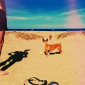 Verano perruno img_20150819_124753_b992facda8a037d414214bdbc4354d68.jpg