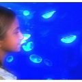 Alba en el acuario de Valencia img_2122_3d33cf54def2450dced2854d1dd4a787.jpg