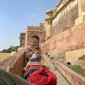 Fuerte Amber India img_2718z_bf061d2410502887f2488c80581c516d.jpg