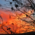 Atardecer veraniego img_3726_71b4bbaf9a6bc409f9a47194d9e66760.jpg