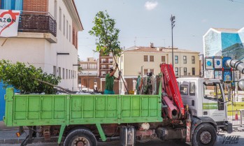 Esta mañana han comenzado a plantarse los naranjos y las jardineras | J.C.