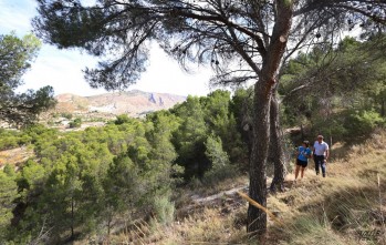 La vigilancia para la prevención de incendios se realizará en las zonas de Caprala y Ferrusa. 