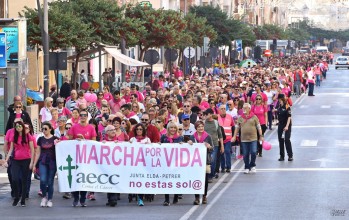 Unas 5.000 personas han participado en esta histórica marea rosa que ha llenado la Gran Avenida | Jesús Cruces.