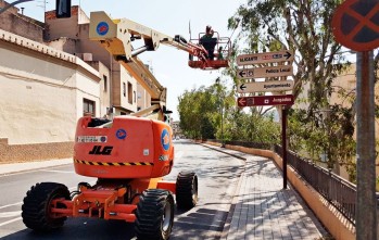 Poda especializada de los árboles de la avenida de Novo Hamburgo