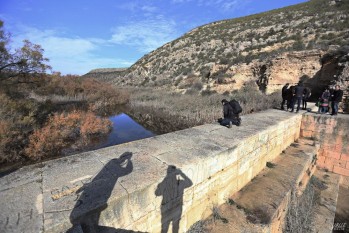 Los eldenses podrán disfrutar conocer en detalle las características de este paraje particular | Jesús Cruces.