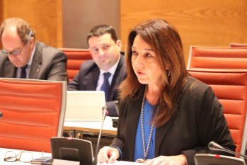 Pedrosa ha defendido esta moción ante el Senado.