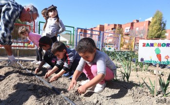 Los pequeños plantando patatas.