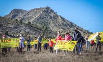 Las pancartas también se han colocado en las viviendas de la zona | J.C.