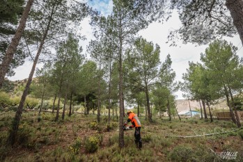 Los trabajos se realizarán en cerca de seis hectáreas | J.C.