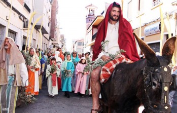 Hasta 2014 el burro formó parte de la representación de la llegada del Mesías a Jerusalén | Jesús Cruces.