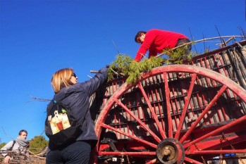 Elda cumple con la tradicional recogida de leña de San Antón pese al intenso frío