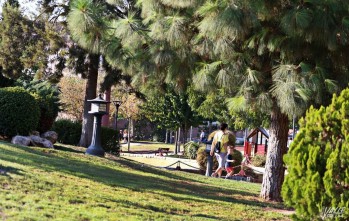 Petrer se propone mejorar el estado general de sus parques y jardines