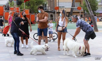 Aunque estas semanas es difícil ver masificación de gente, a partir de 50 personas habrá que comunicar al Ayuntamiento cualquier evento.