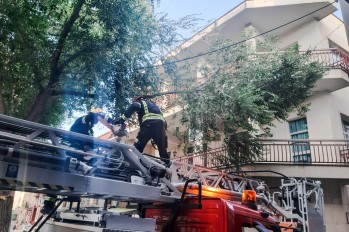 Cae otra rama de un árbol en la Plaza de Baix