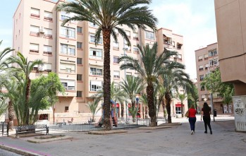 El suceso se produjo en la plaza Luis Braille | Jesús Cruces.