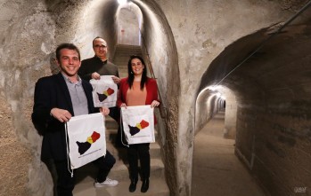 Imagen de la presentación.