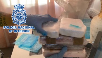 Imagen de la droga incautada.