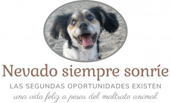 Descubre 