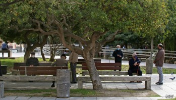 Imagen de personas mayores en la Plaza Castelar.