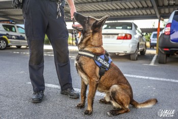 Lobo fue perro policía hasta 2020. 
