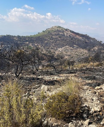 El incendio continúa activo, aunque controlado | Meteo Vinalopó