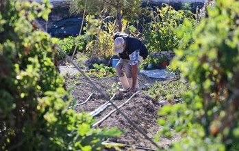 Jornada de puertas abiertas a los huertos ecológicos municipales