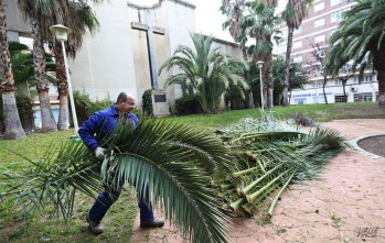 El PP apremia al gobierno a sacar la licitación del mantenimiento de jardines 