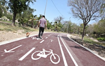 Afirman que el Ayuntamiento renuncia a fomentar el carril bici