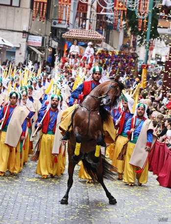 Desde Junta Central afirman que el uso de caballos en Moros y Cristianos está regulado y no sufren maltrato| Jesús Cruces.