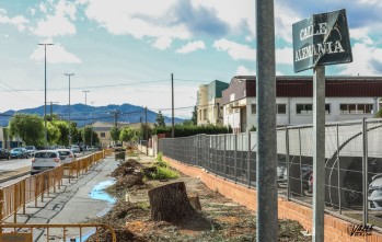 Las obras tienen un plazo de ejecución de tres meses | J.C.