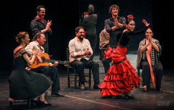 La obra realizó un recorrido por la danza y detallaron la importancia de Gades en la misma | J.C.