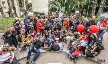 Varias familias pasaron la mañana del domingo junto con sus mascotas celebrando el primer carnaval canino | J.C.