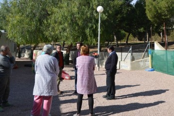 Una plaga de procesionaria obliga a Servicios Públicos a intervenir con carácter urgente en tres colegios de Elda