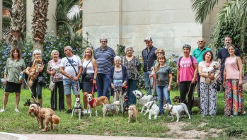 Los vecinos piden un espacio para sus mascotas  | J.C.