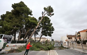Por la seguridad de la ciudadanía se ha cortado al tráfico la avenida | Jesús Cruces.
