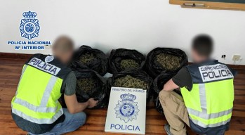 Imagen de la droga incautada.