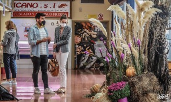 La decoración he Halloween ya se está colocando en el mercado | J.C.