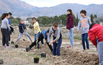 Los estudiantes han participado hoy en la reforestación de la zona junto a Finca Lacy | Jesús Cruces.
