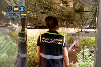 Imagen de la plantación | Policía Nacional. 