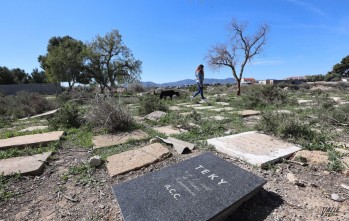 Imagen del cementerio de mascotas hoy en desuso junto al sector 9.