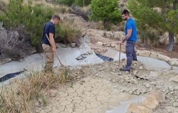 Medio Ambiente de Elda mejora la pinada del Trinitario 