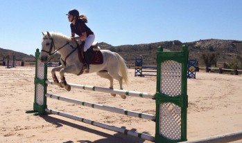 La amazona eldense Lucía Amat vence en la categoría Ponis C en Salto de Obstáculo