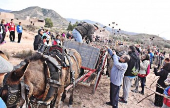 La Mayordomía celebra la octava ruta de recogida de leña para la hoguera de San Antón 