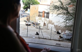 Manuela observa desde su ventana a los animales que mataron a León | Jesús Cruces.